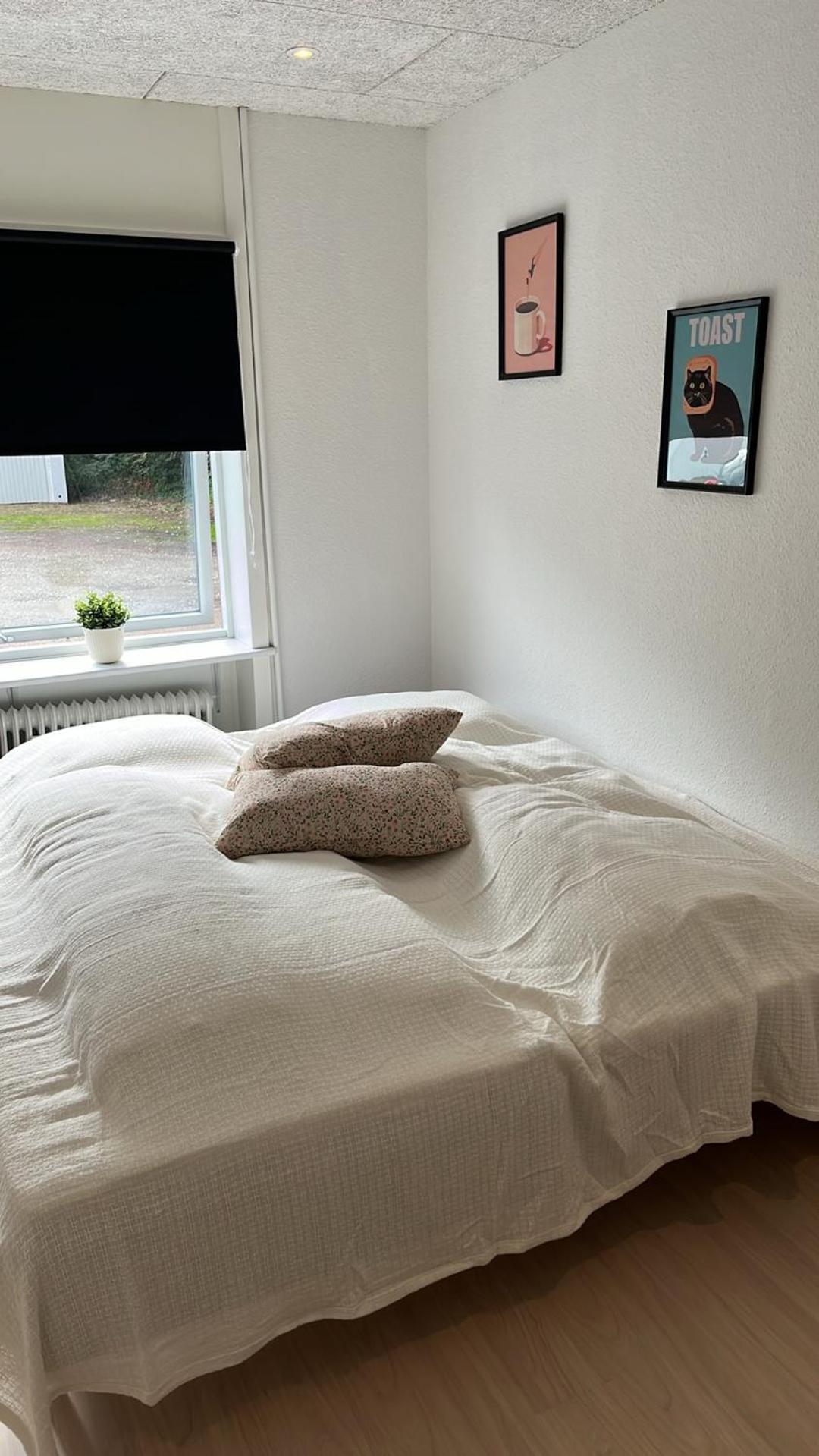 Billund Mini Hostel Room 10 - Taet Pa Legoland Og Lego House Esterno foto